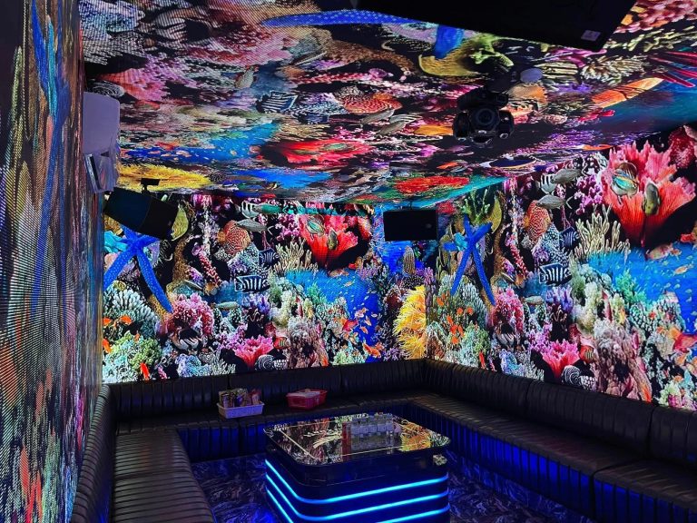 Karaoke Lucky KTV 10 Phố Hoà Mã Phạm Đình Hổ Hai Bà Trưng Hà Nội 0949967786